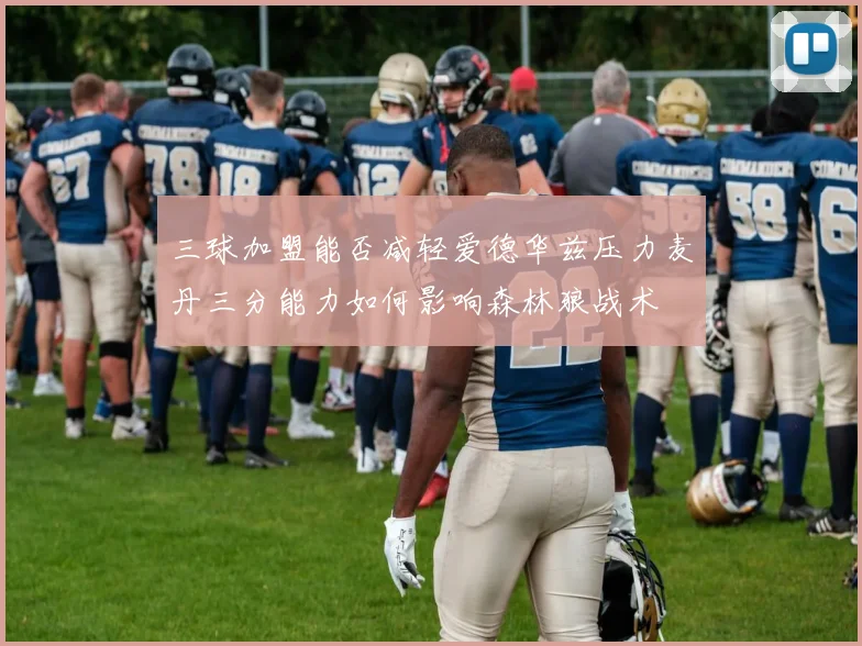 三球加盟能否减轻爱德华兹压力麦丹三分能力如何影响森林狼战术