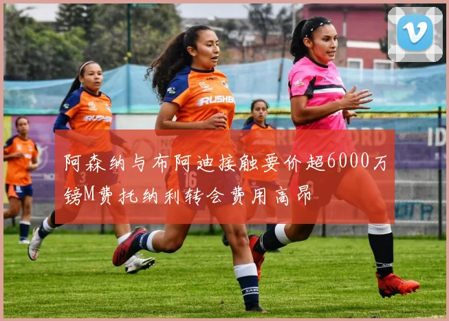 阿森纳与布阿迪接触要价超6000万镑M费托纳利转会费用高昂